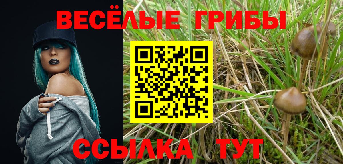 Галлюциногенные грибы GOLDEN TEACHER  Вход с VPN  Томск 