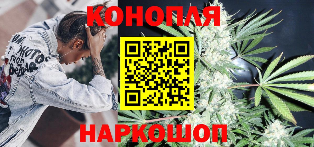 Конопля семена Томск